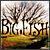 Big Fish