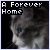 Adoption of Strays