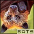 Bats