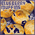 Blueberry Muffins