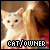 Cat & Human