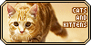 Cats & Kittens