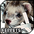 Ferrets