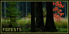 Forests