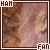 Ham