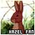 [Watership Down] Hazel-rah