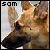 [I am Legend] Sam