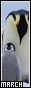 The March of the Penguins