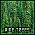 Pine Trees