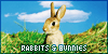 Rabbits