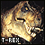 [Dinosaur] Tyrannosaurus Rex