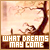 What Dreams May Come