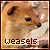 Weasels