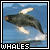 Whales